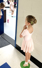 Ballet Skirted Leotard Dress - Ballet Pink - NWT - Classic Style