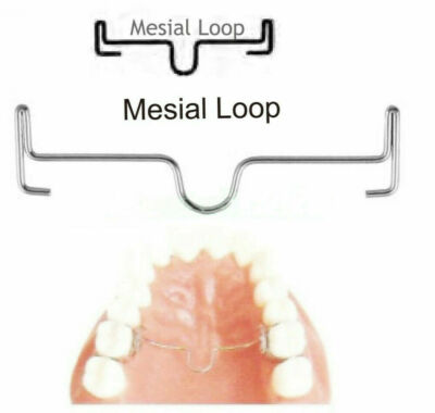 10 Size Palatal Arch Bar Mesial Loop 37-55mm For Dental Orthodontic Treatment 