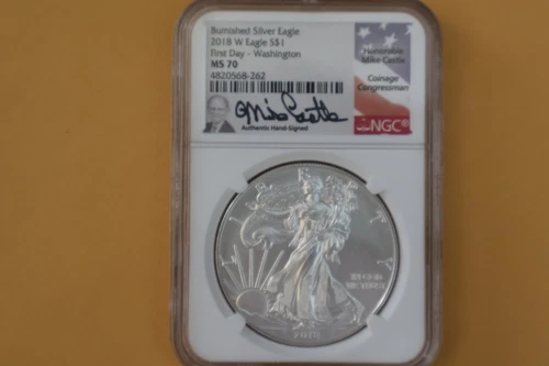 2018 W Burnished Silver Eagle NGC MS70 Mike Castle First Day Washington