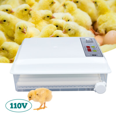 Incubators for Hatching Eggs 64 Egg Incubator Automatic Egg Turning Chicken Farm