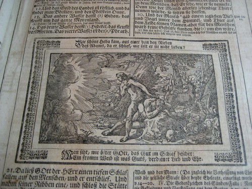Uralte große antike Bibel mit sehr vielen Stichen aus Sammlung - Bild 15 von 18