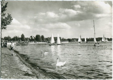 Foto-AK BERLIN TEGEL am Tegeler See, Segelboote 50er