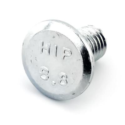     Hörmann 10x Flachkopfschraube M8 x 13 mm, verzinkt