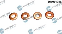 Dr.Motor Automotive DRM0198S WäRmeschutzscheibe, Einspritzanlage For CitroËN FOR