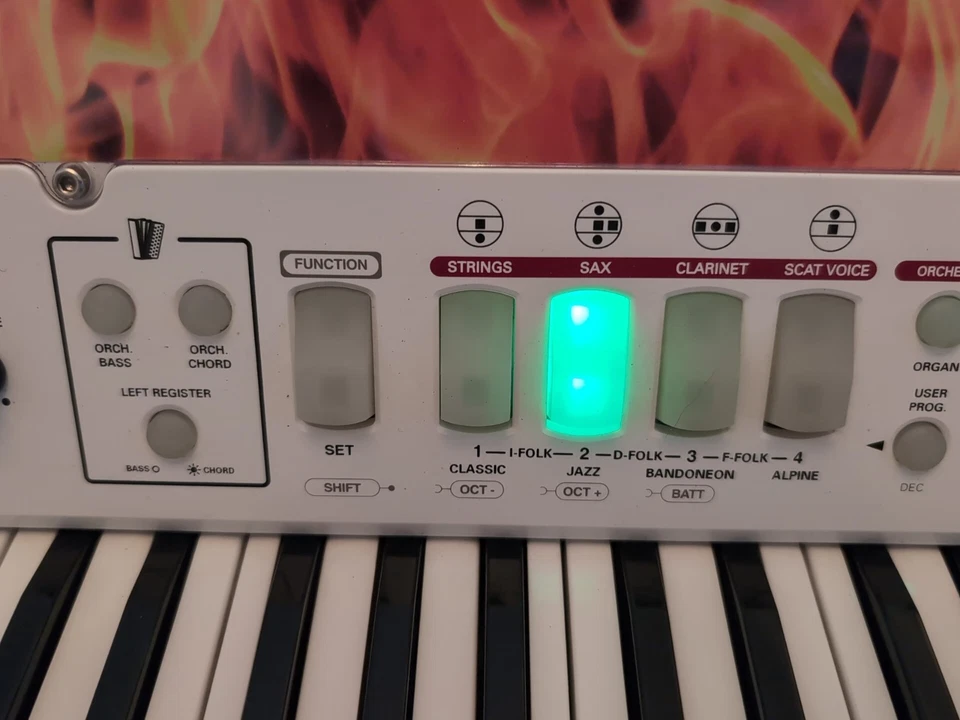 Roland FR-1 V Accordion Boxed + Manuals And Brand New Carry Case P469 - Image 4 of 4