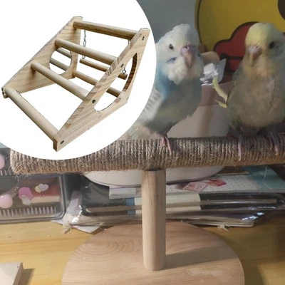 Perchoir à poussins en bois robuste pour poussins, perroquets, poules - Photo 1/4