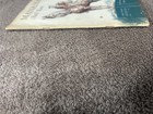 Foto 5 di 10