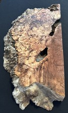 Spalted Maple Burl, Live Edge, 21 1/2 Long, 12 Wide, 2 7/16 Thick, Dry