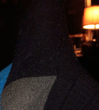 Dr. Scholl's Men's Black Gray Solid Crew Mid Calf Socks
