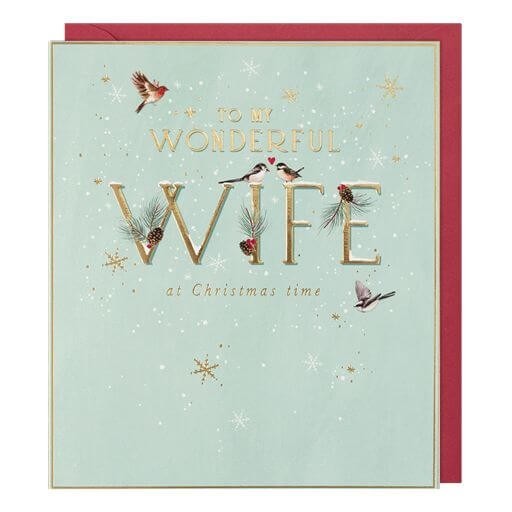 Wife Christmas Card Wonderful Love Robins Birds Snow - Festive Xmas Card