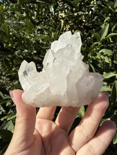 Clear Quartz Crystal Cluster | Natural Mineral Specimen,Raw Cluster,A198