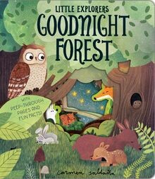 Goodnight Forest (Little Explorers) von Becky Davies | Buch | Zustand sehr gut