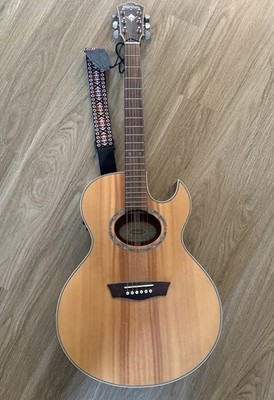 Washburn EA20SNB