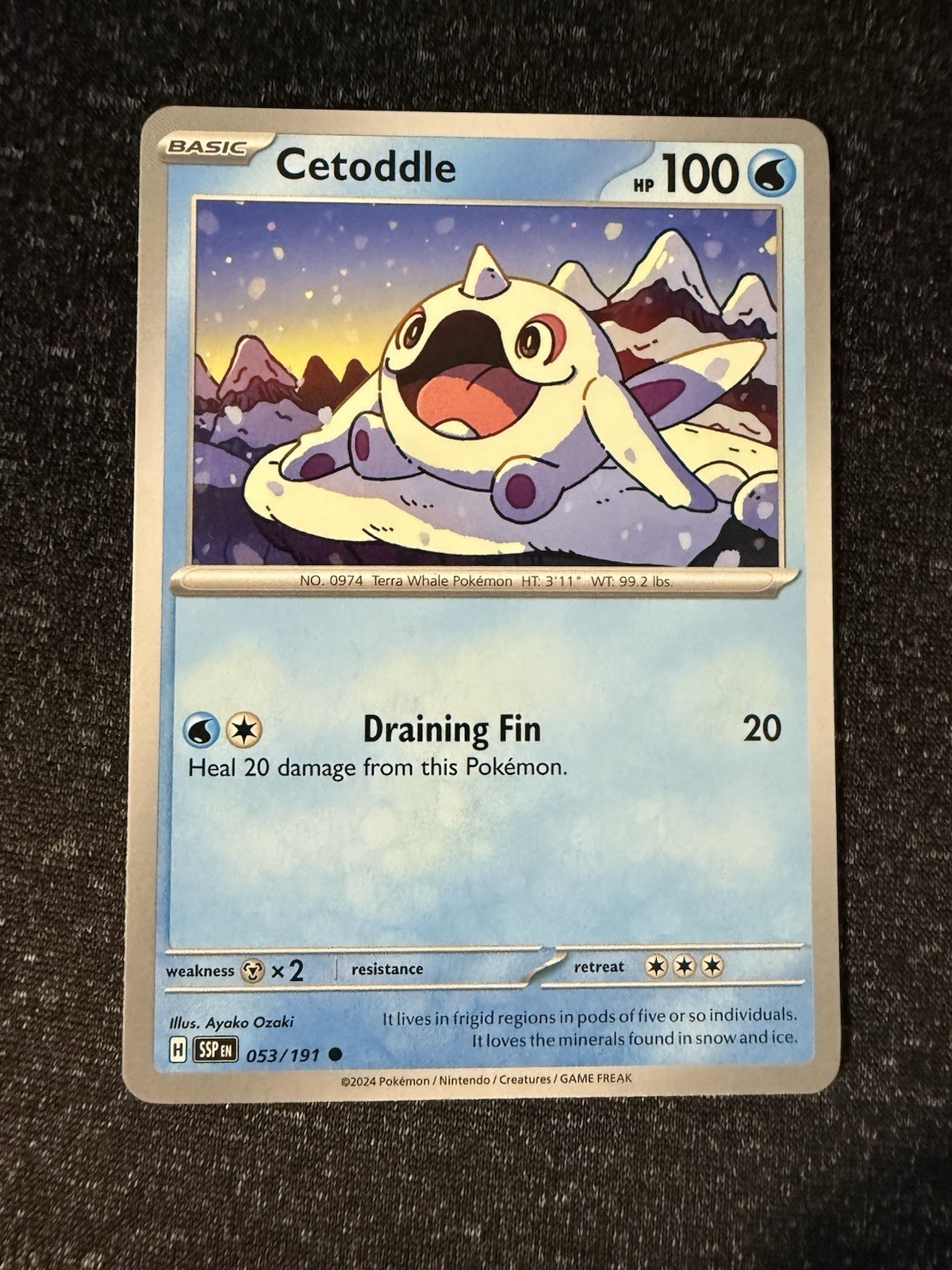 Cetoddle 053/191- Surging Sparks- Regular Common- NM/M