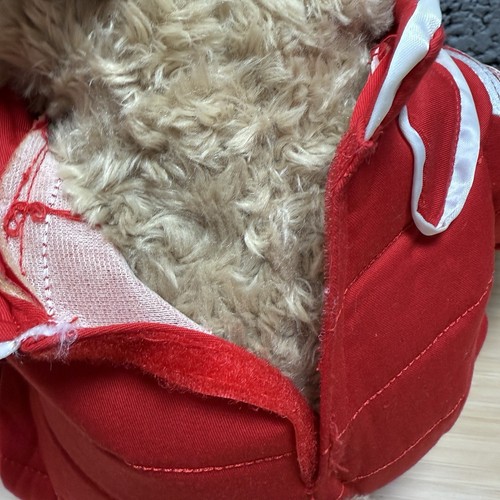 Silverstone Jimmy Bear F1 Peluche Teddy Giocattolo Edizione Limitata - Foto 7 di 8