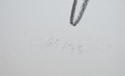 Bild 4 von 8