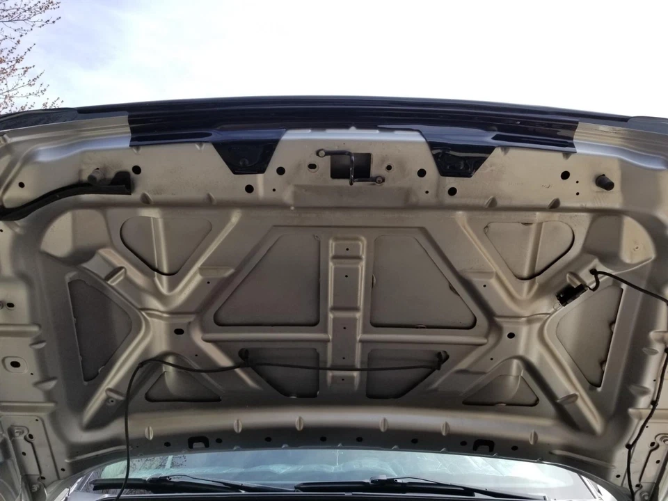 Protector de capó AVS BugFlector II deflector protector contra insectos para Ford F250 F350 11-16 Foto 4 de 4