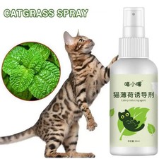 Catnip Spray For Cats Portable Fun For Indoor Cat  Kittens  Interactive S4D9