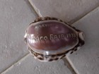 1933 Chicago World's Fair Carved Tiger Cowrie Shell ~ Marvin — photo 1