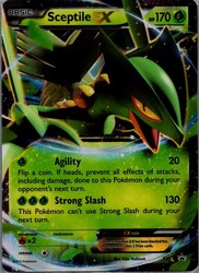 Sceptile EX (XY53) XY Black Star Promo Holo