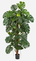 Artplants Deko Philodendron Monstera Deliciosa Mebsuta, 190Cm