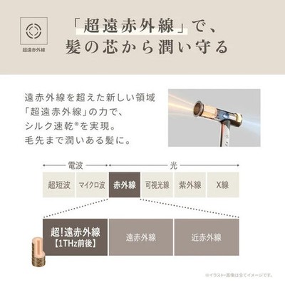 KINUJO Hair Dryer Voyage HW001 1000W Overseas compatibl Japan F/S