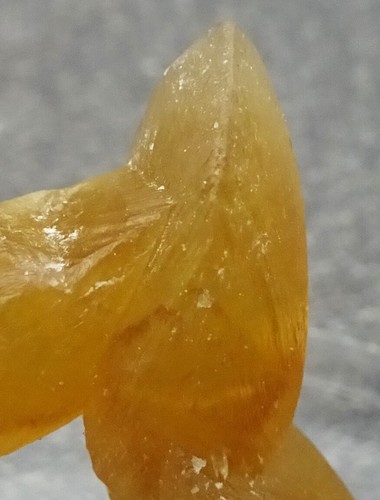 Doppelt terminierte Honig Calcit Kristalle, Indien - Mineralienprobe zu verkaufen - Bild 2 von 6