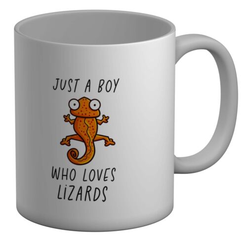 Just A Boy Who Loves Lizards Biały kubek 11 uncji Prezent - Zdjęcie 1 z 1