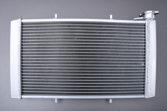 Radiateur d'eau de course YAMAHA VIKING 700 en aluminium renforcé pour SSV Hunter 2014-2024