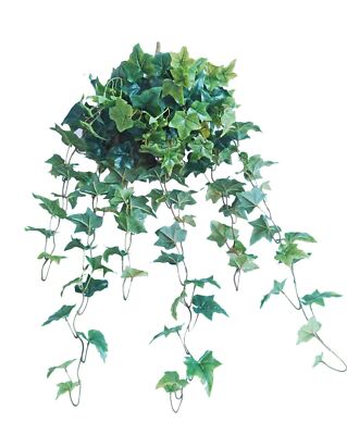 Real Touch Sage Ivy Hanging Bush , 35'' H, with 168 Leaves, 12 Stems (Green)