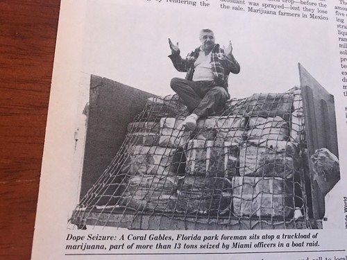 1978 VINTAGE 3PG ARTICLE ON THE GREAT PARAQUAT SCARE WHAT IT DOES TO MARIJUANA - Picture 3 of 4