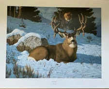 BLIND SPOT - Print By Wildlife Artist Tom Mansanarez - Signed & Numbered