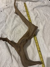 natural driftwood