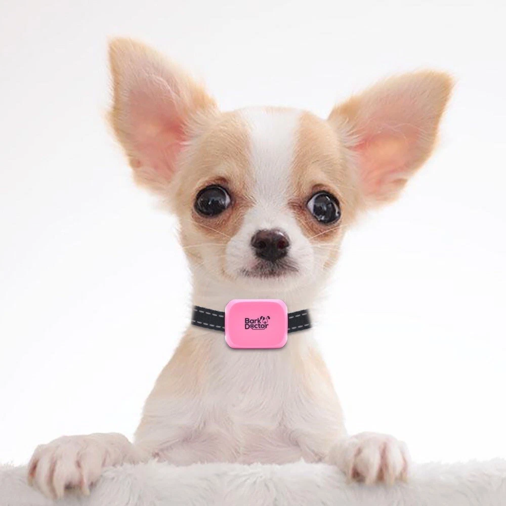 Extra small sale dog bark collar