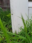 Bild 7 von 20