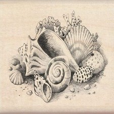 Inkadinkado Seashells Wood Stamp 3'' x 2.25" Beach Shell Sea Shell Coral Sand