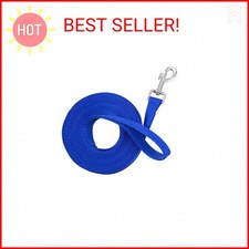 Tough 1 Nylon Web Lunge Line, Blue , 1" x 20'