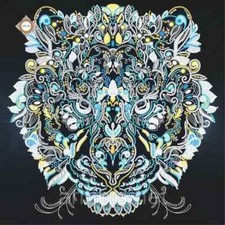 Bead Embroidery Kit Tiger DIY Craft Kit Stamped Embroidery Needlepoint sl-3439