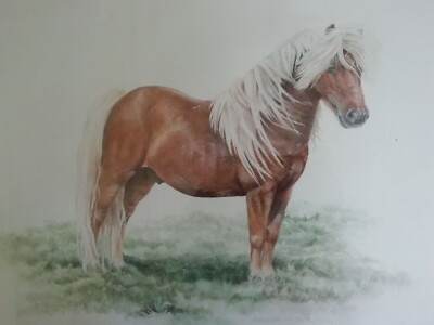 ORIGINAL AQUARELL STUDIE EINES PONYS - SIGNIERT VON ALEXANDRA MCMASTER & DATIERT 1994