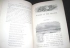 Picture 5 of 8