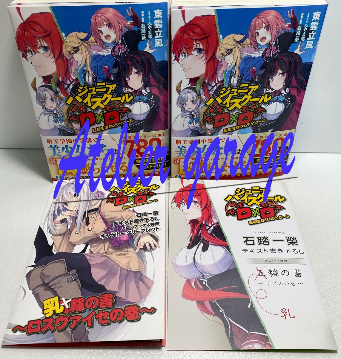 New 2Junior High School DxD Vol.1+Extra leaflet Rias+Ross Set