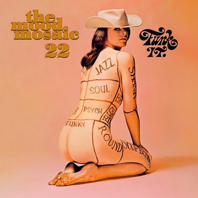 Various Artists Vinile Mood Mosaic 22 (The) / Various (2 Lp) (Vinyl) (UK IMPORT)