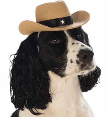 sheriff k9 hat