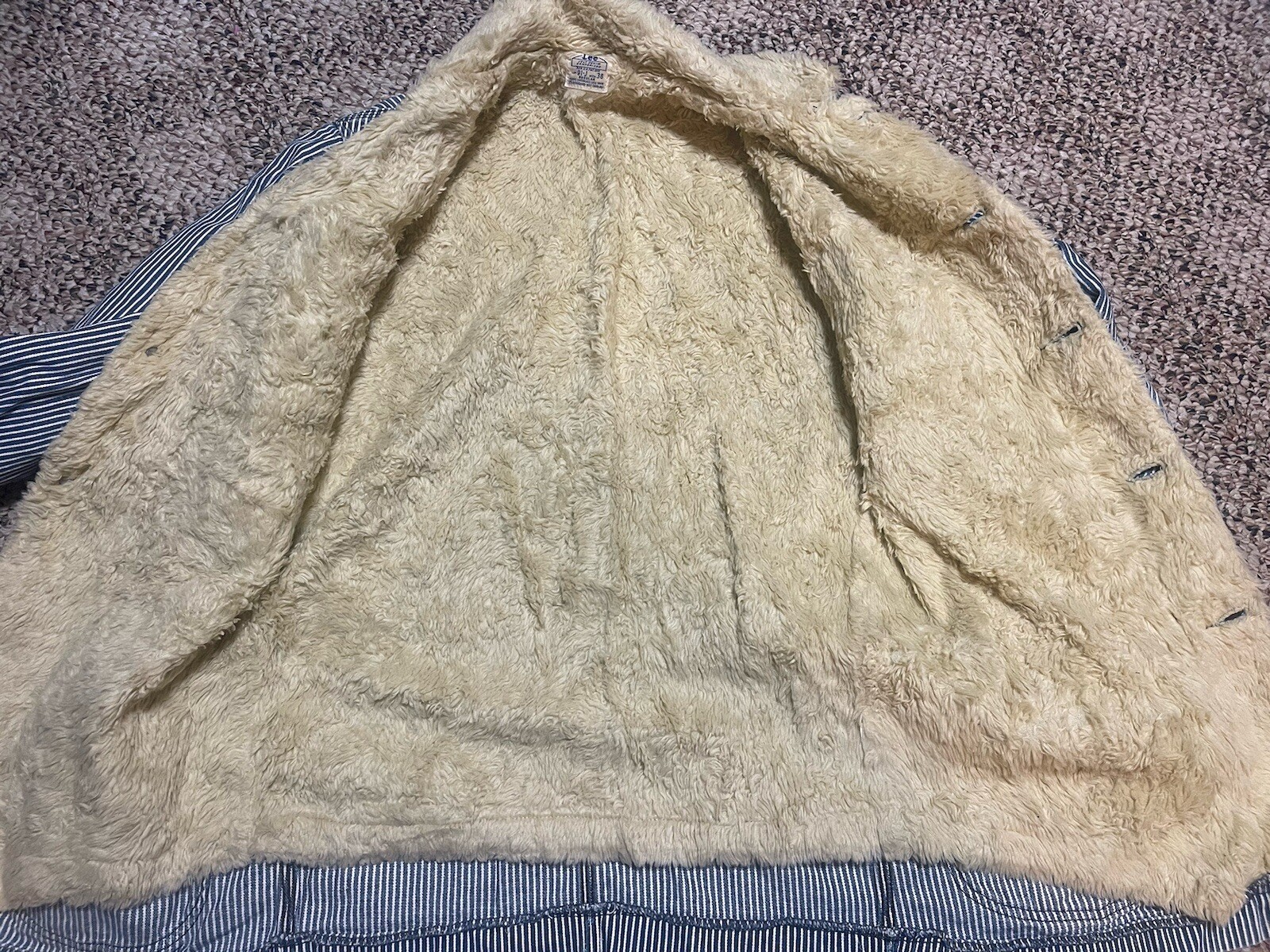 Picture 6 of 11