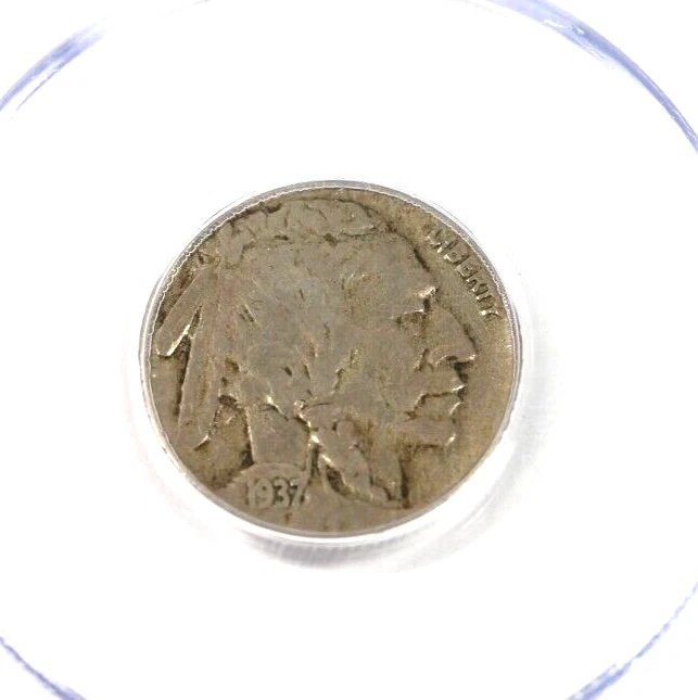 1937-D 3 Legged Buffalo Nickel :  PCGS VF20 - Image 3 of 4