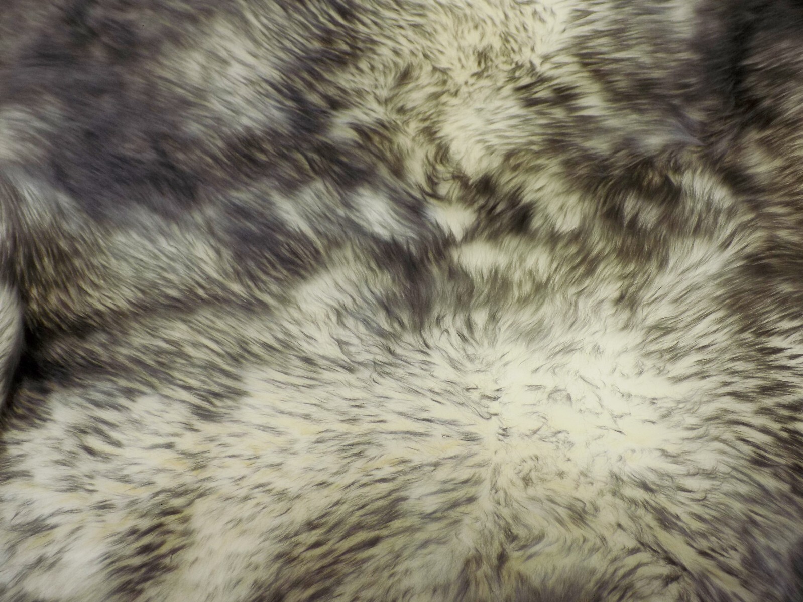 Large GREY TIPPED / IVORY with TIPS GENUINE AUSTRALIAN SHEEPSKIN RUG