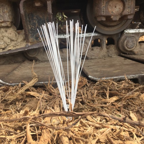 Trail Chasers White 6 In Ground Markers Lightweight - Survey, Landscaping 10-Ct - Picture 5 of 10