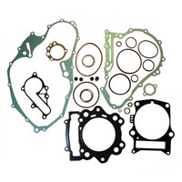 Dichtungssatz Komplett FüR Yamaha Yfm 700 Ry Bj. 2009