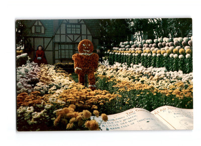 Floral Display with Character in Phipps Conservatory, Pittsburgh Postcard