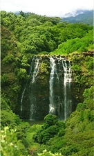 View of 'Opaeka'a Falls, Wailua River State Park, Kauai Island, Hawaii Postcard